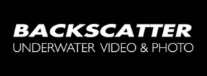 Backscatter Backscatter logo