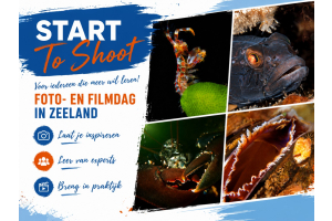 Start to shoot 2026 Brouwersdam Kennismaking Onderwaterfotografie