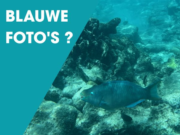 Blauwe onderwaterfoto's