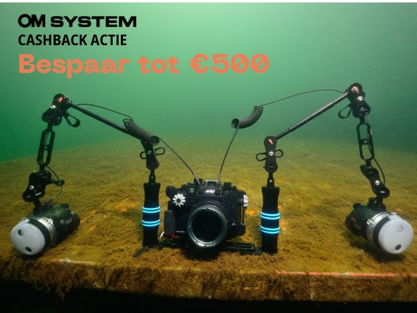 Om system cash back