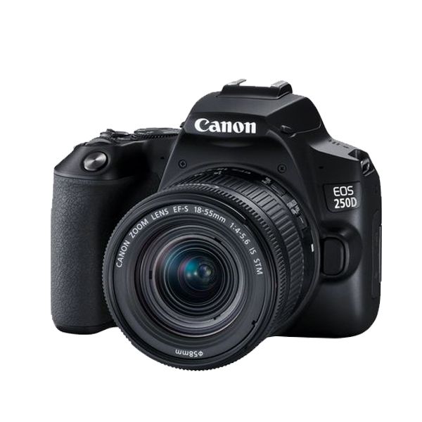 Canon EOS 250D met 18-55 STM lens en Ikelite onderwaterhuis