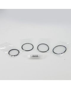 Fisheye o-ring set voor Fisheye LED1000DX