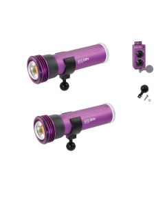 Keldan bundel: 2 x Video 8XR CRI96 + RC 2 afstandsbediening