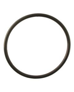 Ikelite o-ring