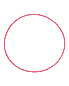 Olympus o-ring voor PT-054 [POL-054-2]
