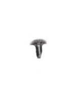 INON Magnet Screw