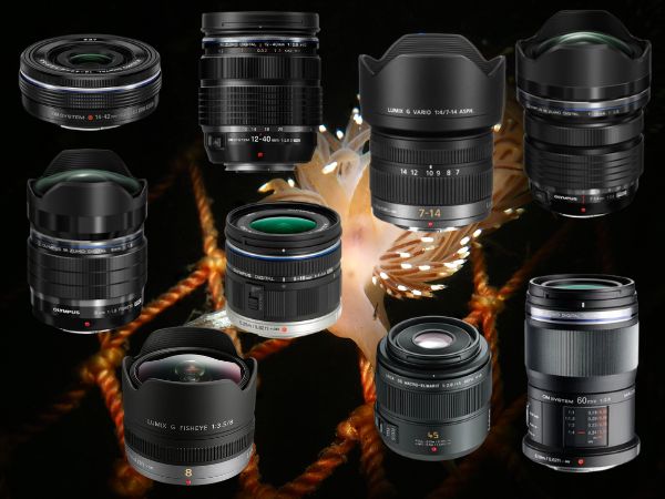 Onderwaterfotografie met een Micro Four-Thirds camera en lens, zoals de Olympus OM1 of Panasonic GH6, met focus op groothoek- en macrolenzen.