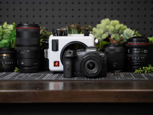 Onderwaterfotograaf die zeeleven vastlegt met een Canon camera en lenssetup, waarbij verschillende Canon RF- en EF-lenzen voor onderwaterfotografie worden getoond
