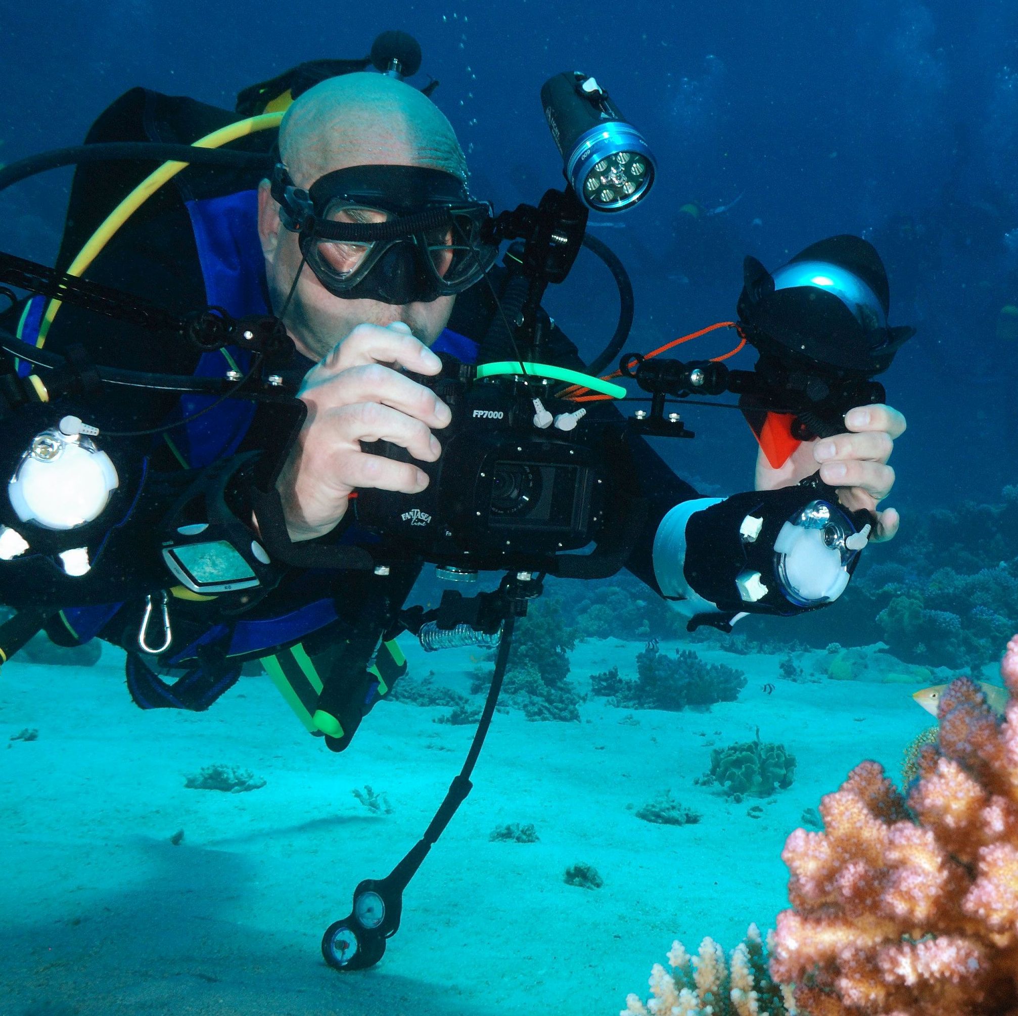 Ons team: Ron Polet en zijn jarenlange ervaring op het gebied van (onderwater)fotografie