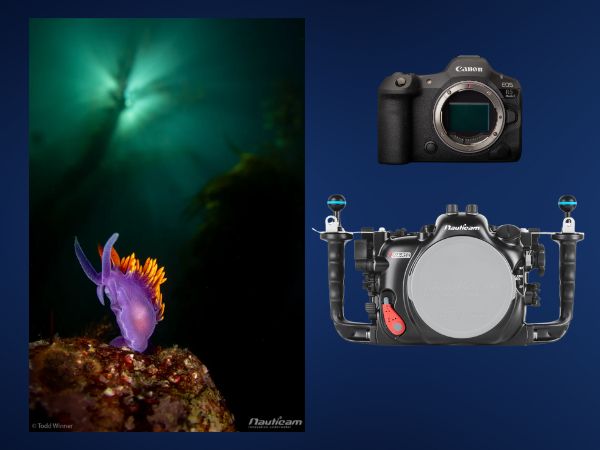 Canon EOS R5 Mark II onderwaterfotografie camera met geavanceerde functies en beeldkwaliteit