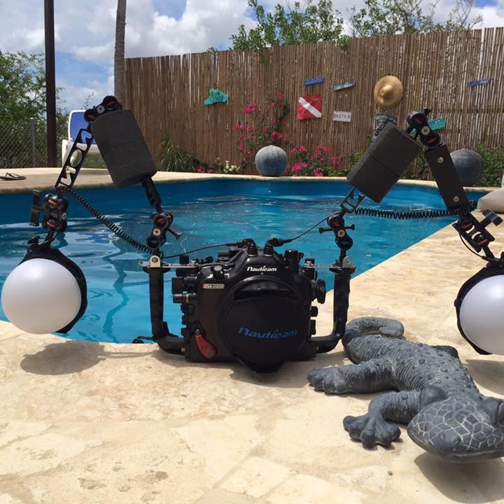 Review Nikon D500 met Nauticam onderwaterhuis
