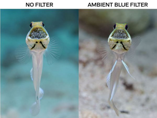 Omgevingsfilters ofwel ambient filters