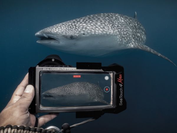 Onderwaterfotografie met je Smartphone: Alles wat je moet weten voor je koopt