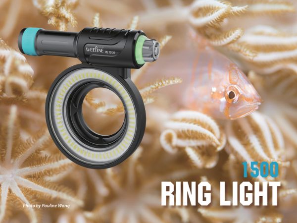Waarom de Ring Light 1500 ideaal is voor Olympus Tough gebruikers