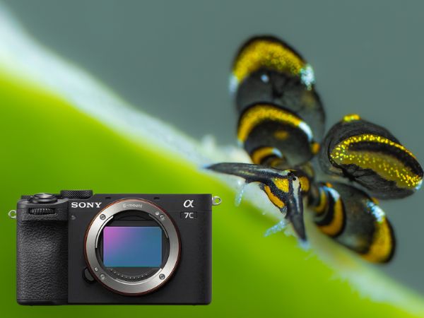 Sony A7C II camera voor onderwaterfotografie, compact ontwerp met full-frame sensor en geavanceerde autofocus