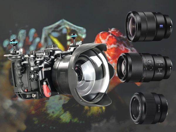Sony FE lenzen voor onderwaterfotografie, inclusief groothoek- en macro-opties voor uitstekende beeldkwaliteit