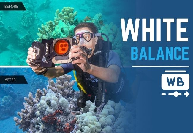 Onderwaterfotografie met aangepaste witbalans voor realistische kleuren