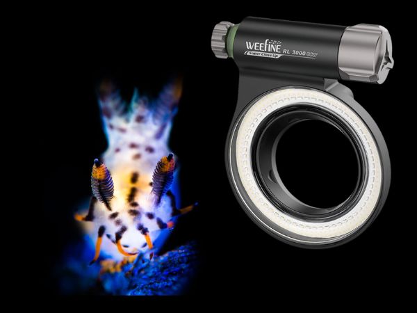 Onderwaterfotograaf met een camera uitgerust met de Weefine Ring Light 3000 CCW