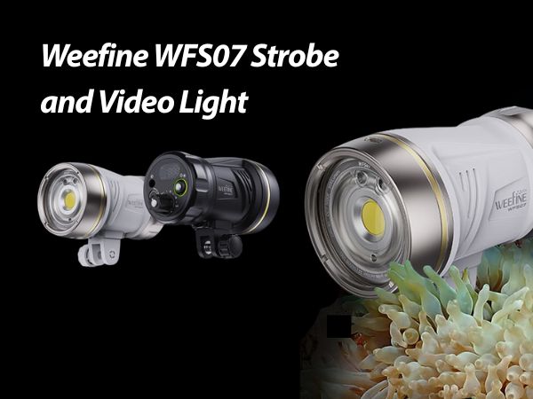 Weefine WFS07 hybride onderwater flitser en videolamp – compact, krachtig en ideaal voor onderwaterfotografie