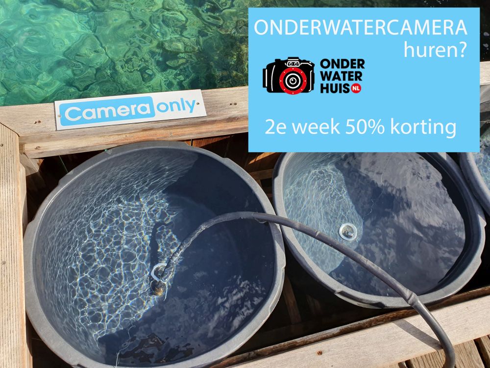Een onderwatercamera, flitser of lamp huren: tweede week 50% korting