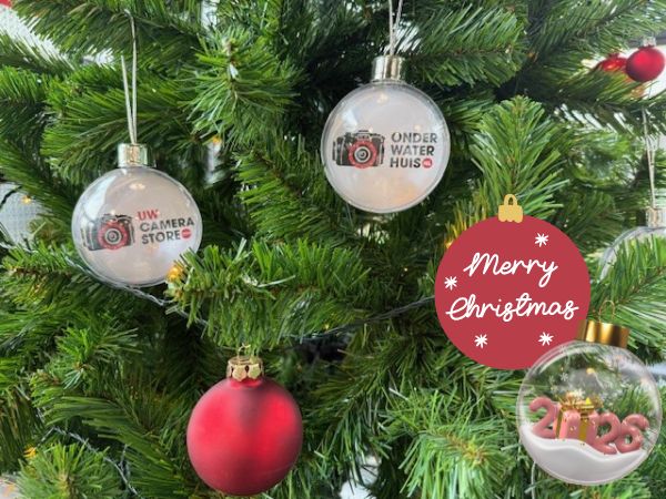 kerstboom met Onderwaterhuis kerstballen