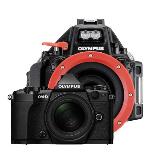 Review Olympus OM-D E-M5 Mark II met Olympus onderwaterhuis