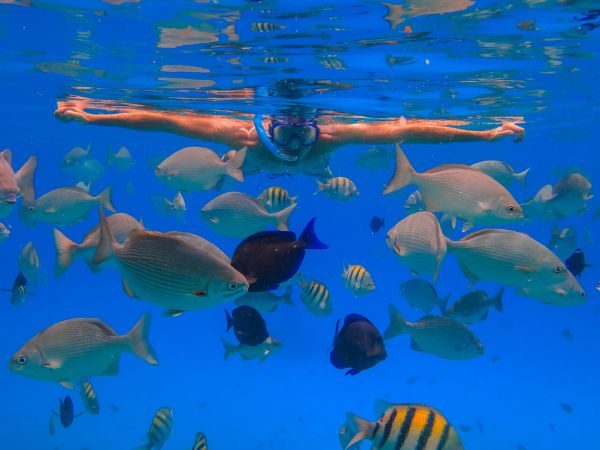 Snorkelen met een camera: de beste opties voor jouw snorkelvakantie
