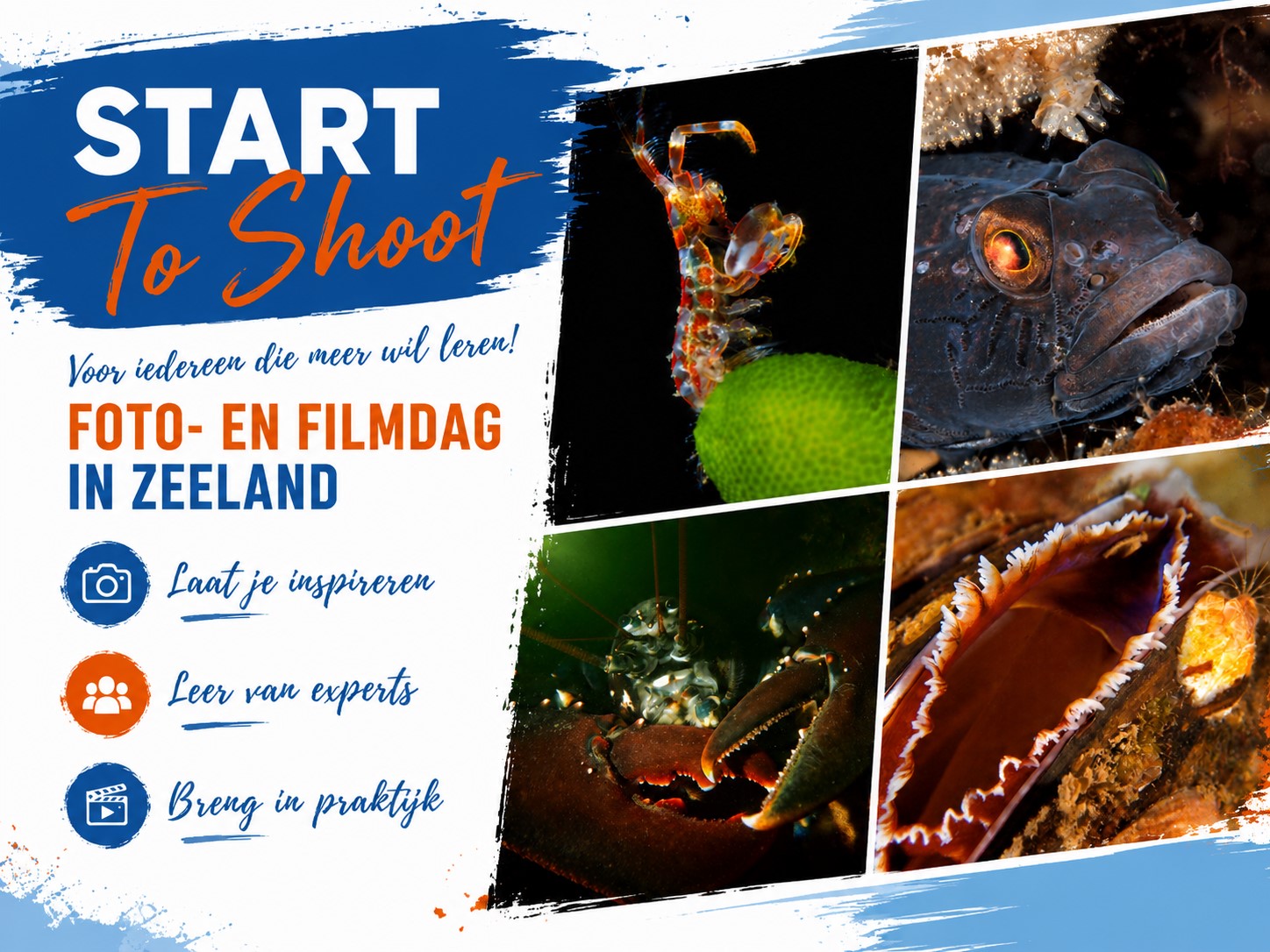 Start to shoot 2026 Brouwersdam Kennismaking Onderwaterfotografie