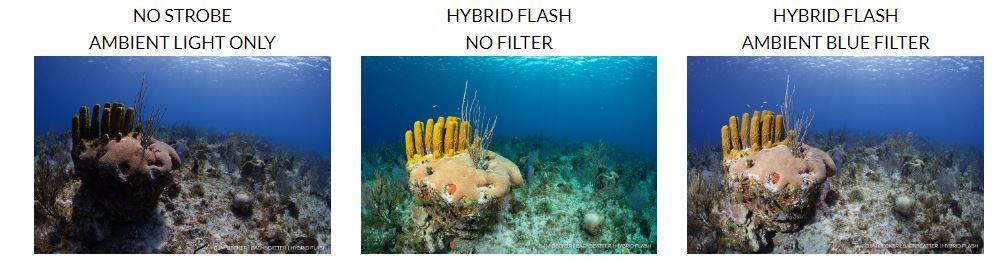 Ambient blue filters