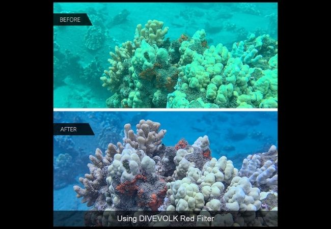 Dive volk filter