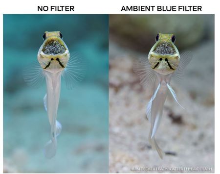 Omgevingsfilters ofwel ambient filters