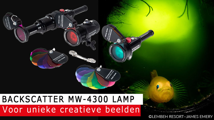 Backscatter MW-4300 lamp