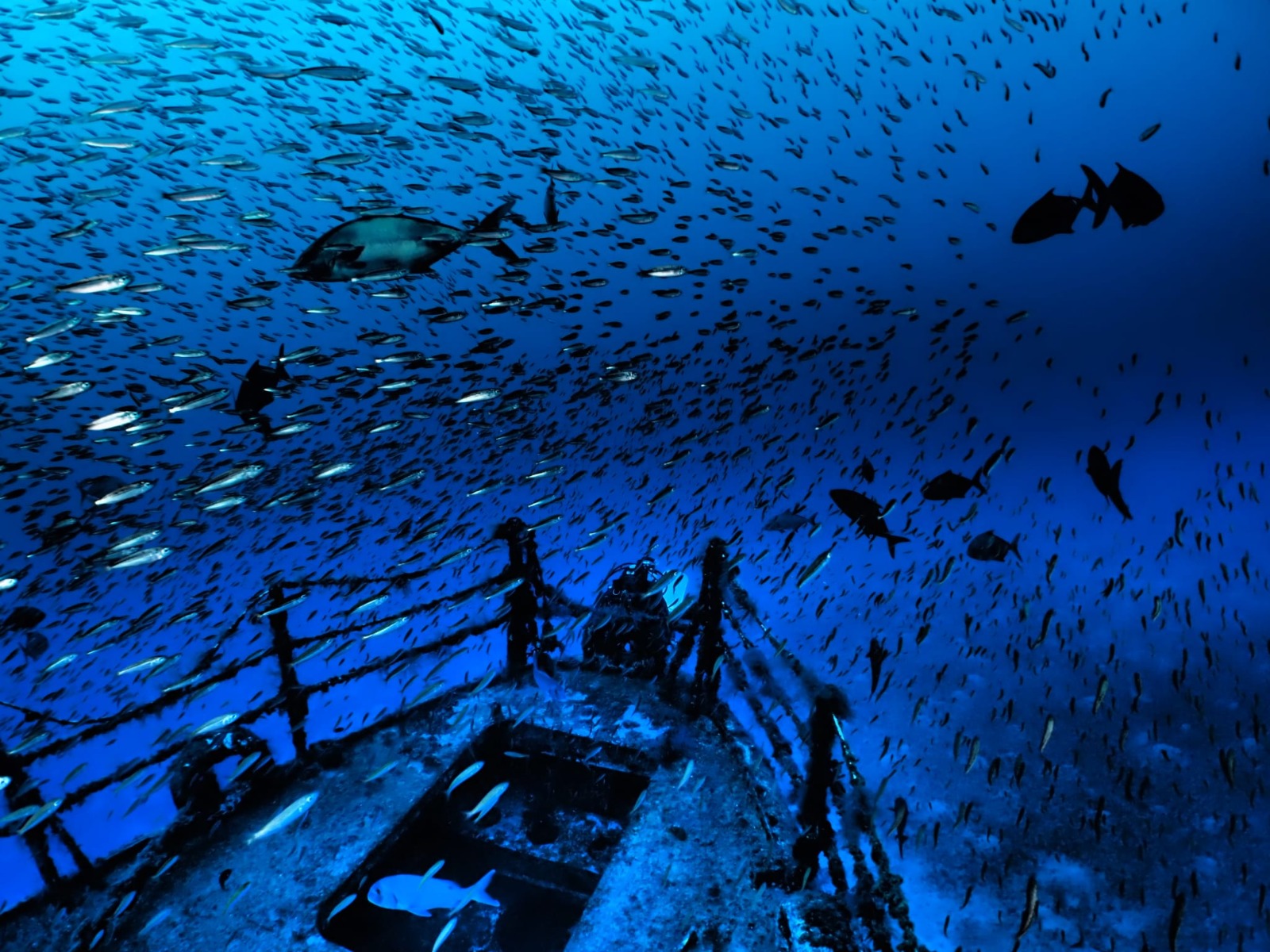 Creative - Marco Heesbeen Creative - CMAS World Championship Underwater Photography 2021 - Porto Santo