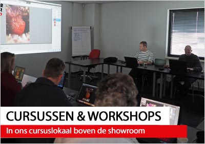 cursussen en workshops Cursussen en workshops